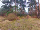 spojnia_ds_2512944_17.jpg